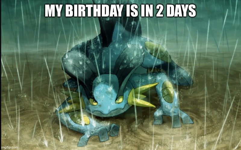 Announcement | MY BIRTHDAY IS IN 2 DAYS | image tagged in the best swampert 999 | made w/ Imgflip meme maker