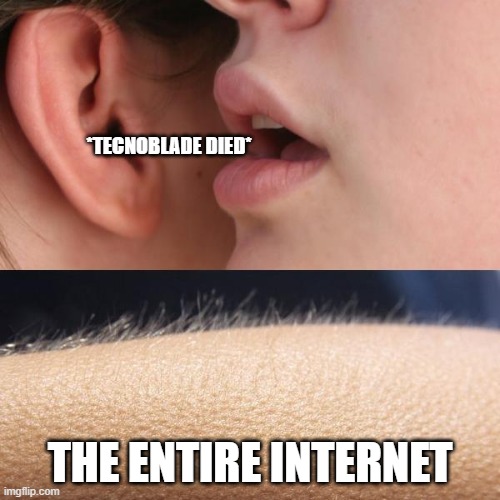 Technoblade Meme | *TECNOBLADE DIED*; THE ENTIRE INTERNET | image tagged in whisper and goosebumps,rip,technoblade,depression | made w/ Imgflip meme maker