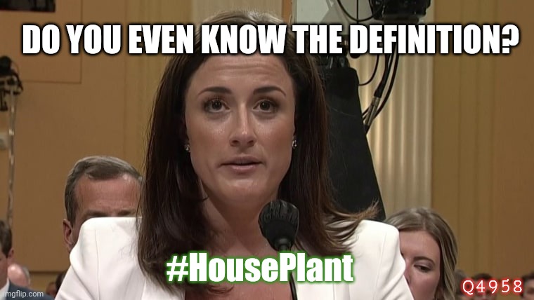 Want me to define Dumbass for you?? #BackFireintheHole | DO YOU EVEN KNOW THE DEFINITION? #HousePlant; Q4958 | image tagged in cassity hutchinson,its a trap,faceplant,qanon,the great awakening,donald trump approves | made w/ Imgflip meme maker