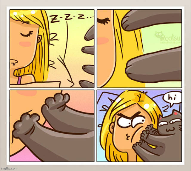 image tagged in comics | made w/ Imgflip meme maker