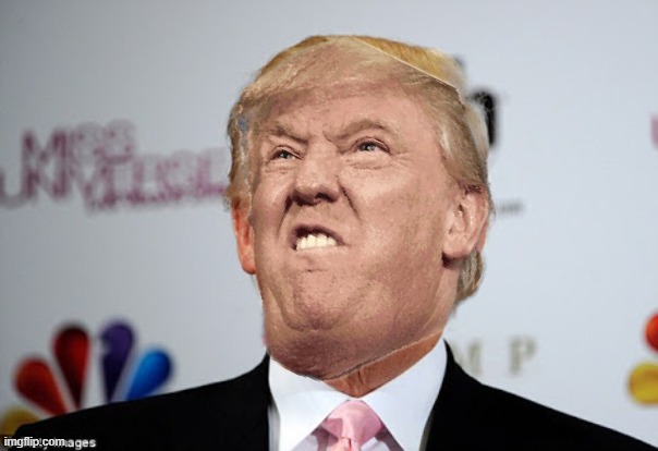 Trumphead approves Blank Meme Template