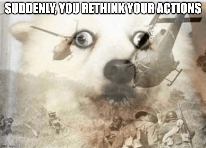 PTSD dog | SUDDENLY, YOU RETHINK YOUR ACTIONS | image tagged in ptsd dog | made w/ Imgflip meme maker