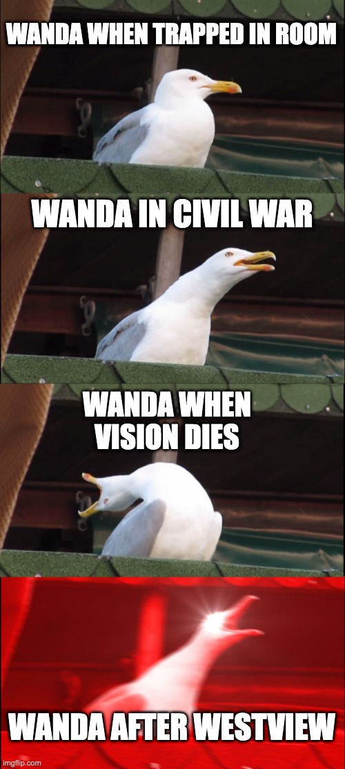 Inhaling Seagull | WANDA WHEN TRAPPED IN ROOM; WANDA IN CIVIL WAR; WANDA WHEN VISION DIES; WANDA AFTER WESTVIEW | image tagged in memes,inhaling seagull | made w/ Imgflip meme maker