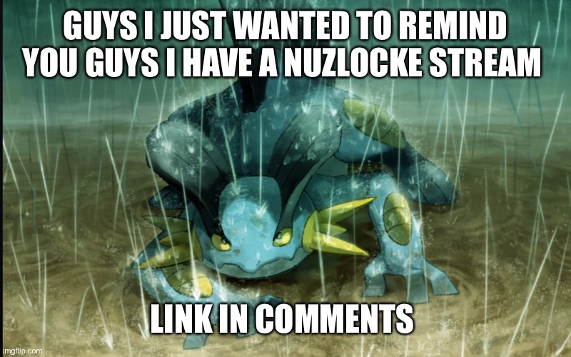 The Best Swampert 999 | GUYS I JUST WANTED TO REMIND YOU GUYS I HAVE A NUZLOCKE STREAM; LINK IN COMMENTS | image tagged in the best swampert 999 | made w/ Imgflip meme maker