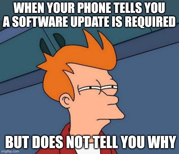 Can the poor rabble be allowed to know WHY these updates are necessary? | WHEN YOUR PHONE TELLS YOU A SOFTWARE UPDATE IS REQUIRED; BUT DOES NOT TELL YOU WHY | image tagged in not sure if- fry,cell phone,update,software,why,suspicious | made w/ Imgflip meme maker