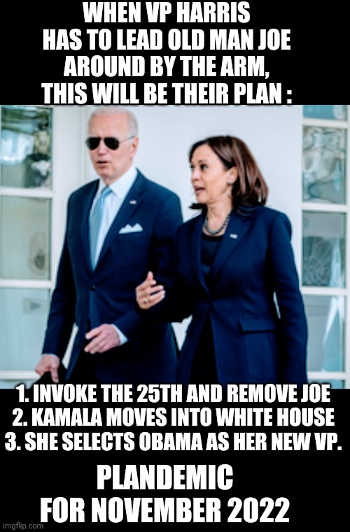 25th till November | WHEN VP HARRIS HAS TO LEAD OLD MAN JOE AROUND BY THE ARM, THIS WILL BE THEIR PLAN :; 1. INVOKE THE 25TH AND REMOVE JOE


2. KAMALA MOVES INTO WHITE HOUSE


3. SHE SELECTS OBAMA AS HER NEW VP. PLANDEMIC FOR NOVEMBER 2022 | image tagged in biden,harris,nancy pelosi,liberals,democrats,leftists | made w/ Imgflip meme maker