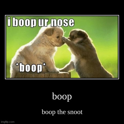 boop | image tagged in funny,demotivationals,puppy | made w/ Imgflip demotivational maker