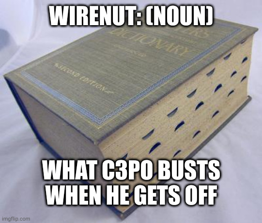 Turn-ons include computer schematics and robots without their chassis | WIRENUT: (NOUN); WHAT C3PO BUSTS WHEN HE GETS OFF | image tagged in dictionary | made w/ Imgflip meme maker