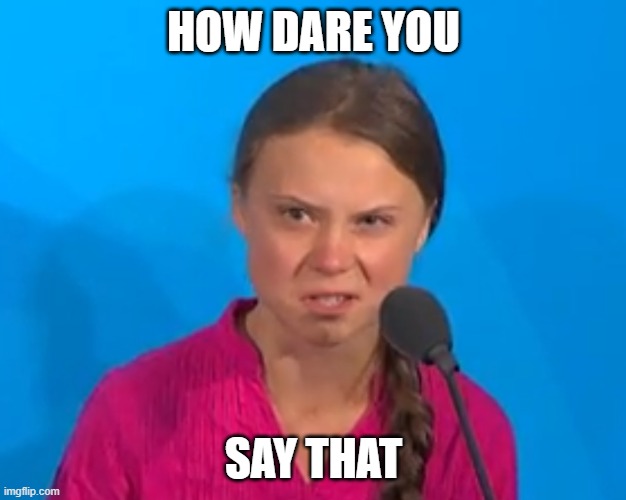How dare you? | HOW DARE YOU SAY THAT | image tagged in how dare you | made w/ Imgflip meme maker