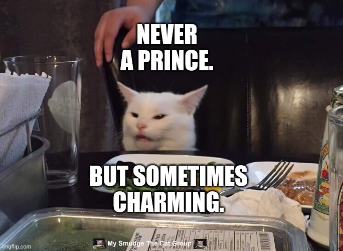 NEVER A PRINCE. BUT SOMETIMES CHARMING. | image tagged in smudge the cat | made w/ Imgflip meme maker