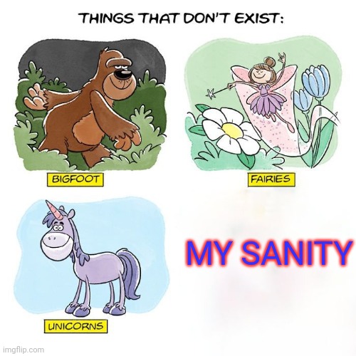 Things That Don't Exist | MY SANITY | image tagged in things that don't exist | made w/ Imgflip meme maker