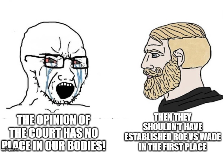 Soyboy Vs Yes Chad | THEN THEY SHOULDN'T HAVE ESTABLISHED ROE VS WADE IN THE FIRST PLACE; THE OPINION OF THE COURT HAS NO PLACE IN OUR BODIES! | image tagged in soyboy vs yes chad | made w/ Imgflip meme maker