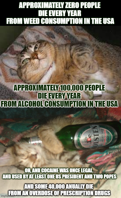 This #lolcat wonders why some drugs are illegal |  APPROXIMATELY ZERO PEOPLE 
DIE EVERY YEAR 
FROM WEED CONSUMPTION IN THE USA; APPROXIMATELY 100,000 PEOPLE
DIE EVERY YEAR
FROM ALCOHOL CONSUMPTION IN THE USA; OH, AND COCAINE WAS ONCE LEGAL. 
AND USED BY AT LEAST ONE US PRESIDENT AND TWO POPES; AND SOME 40,000 ANUALLY DIE 
FROM AN OVERDOSE OF PRESCRIPTION DRUGS | image tagged in drugs,war on drugs,alcohol,overdose,think about it,lolcat | made w/ Imgflip meme maker