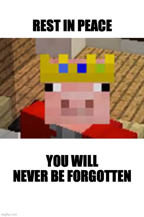 Techno never dies | REST IN PEACE; YOU WILL NEVER BE FORGOTTEN | image tagged in blank white template,technoblade | made w/ Imgflip meme maker