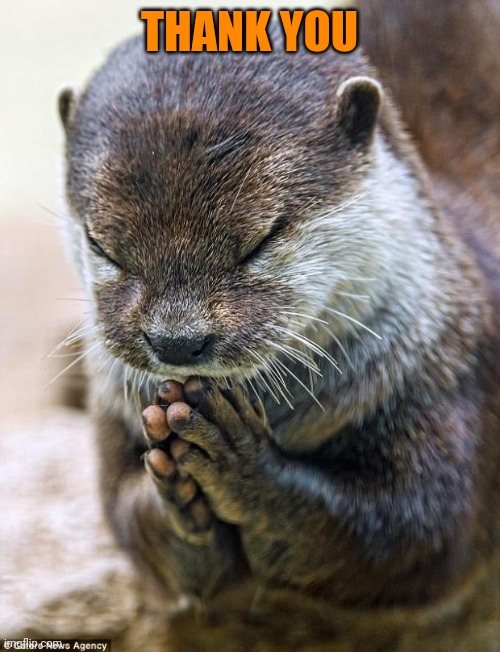 Thank you Lord Otter | THANK YOU | image tagged in thank you lord otter | made w/ Imgflip meme maker