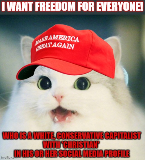 This #lolcat wonders why most who shout 'Freedom!' don't want freedom for all |  I WANT FREEDOM FOR EVERYONE! WHO IS A WHITE, CONSERVATIVE CAPITALIST
WITH 'CHRISTIAN' 
IN HIS OR HER SOCIAL MEDIA PROFILE | image tagged in conservative hypocrisy,christian,lolcat,think about it,freedom | made w/ Imgflip meme maker