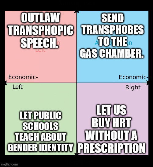 Political compass | OUTLAW TRANSPHOPIC SPEECH. SEND TRANSPHOBES TO THE GAS CHAMBER. LET US BUY HRT WITHOUT A PRESCRIPTION; LET PUBLIC SCHOOLS TEACH ABOUT GENDER IDENTITY | image tagged in political compass,PoliticalCompassMemes | made w/ Imgflip meme maker