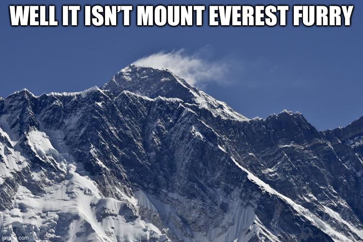 Mt Everest | WELL IT ISN’T MOUNT EVEREST FURRY | image tagged in mt everest | made w/ Imgflip meme maker
