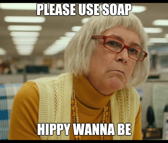Auditor Bitch | PLEASE USE SOAP; HIPPY WANNA BE | image tagged in auditor bitch | made w/ Imgflip meme maker