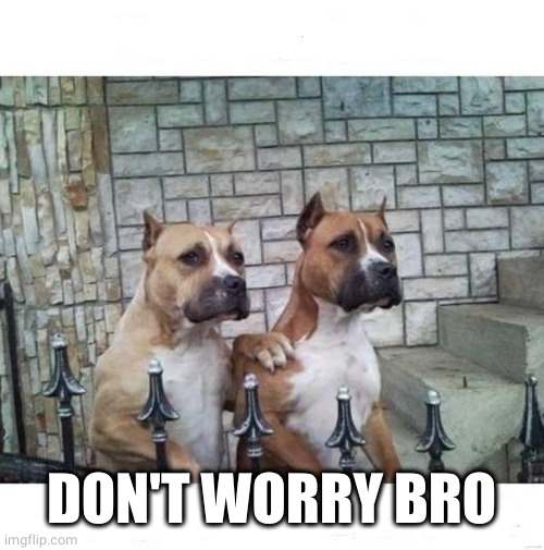 Don't Worry Bro | DON'T WORRY BRO | image tagged in don't worry bro | made w/ Imgflip meme maker