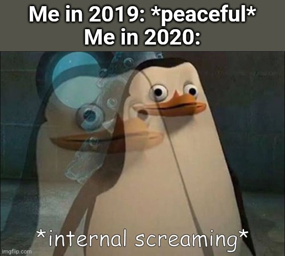 Private Internal Screaming | Me in 2019: *peaceful*
Me in 2020: | image tagged in private internal screaming | made w/ Imgflip meme maker