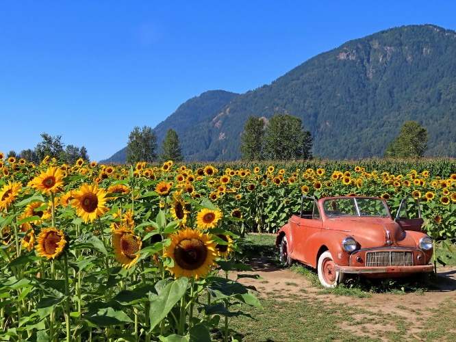 Vancouver, Canada | image tagged in awesome,pics,photography | made w/ Imgflip meme maker