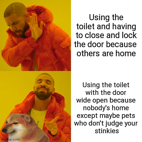 Using the toilet with the door open is a million times better, good thing pets don't judge, ok maybe they do just a little |  Using the toilet and having to close and lock the door because 
others are home; Using the toilet 
with the door 
wide open because 
nobody's home 
except maybe pets 
who don't judge your 
stinkies | image tagged in drake,toilet humor,pets,poop,pee,cheems | made w/ Imgflip meme maker