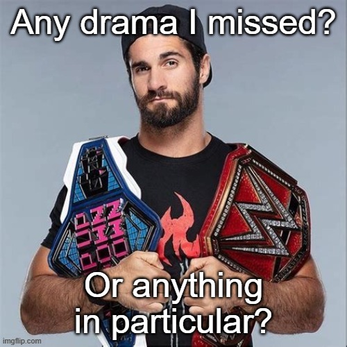 Cool seth rollins | Any drama I missed? Or anything in particular? | image tagged in cool seth rollins | made w/ Imgflip meme maker