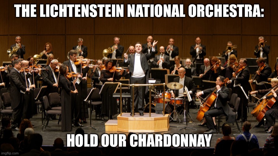 Orchestra | THE LICHTENSTEIN NATIONAL ORCHESTRA: HOLD OUR CHARDONNAY | image tagged in orchestra | made w/ Imgflip meme maker