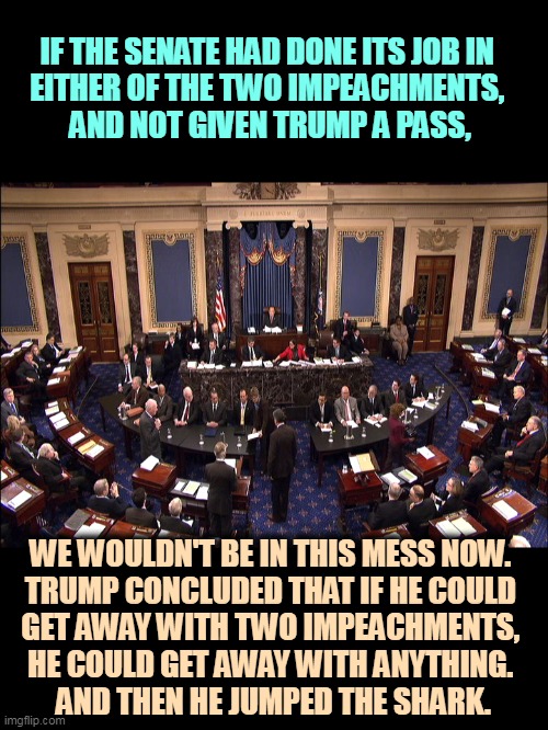 Impeachment cowards. | IF THE SENATE HAD DONE ITS JOB IN 

EITHER OF THE TWO IMPEACHMENTS, 
AND NOT GIVEN TRUMP A PASS, WE WOULDN'T BE IN THIS MESS NOW. 
TRUMP CONCLUDED THAT IF HE COULD 
GET AWAY WITH TWO IMPEACHMENTS, 
HE COULD GET AWAY WITH ANYTHING. 
AND THEN HE JUMPED THE SHARK. | image tagged in senate floor,trump,impeachment,cowards,riot,revolution | made w/ Imgflip meme maker