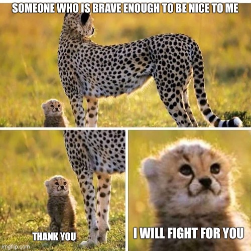 Be nice to me and see the reward | SOMEONE WHO IS BRAVE ENOUGH TO BE NICE TO ME; I WILL FIGHT FOR YOU; THANK YOU | image tagged in cheetah mom with scared cub | made w/ Imgflip meme maker