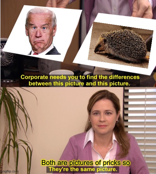 Same picture | Both are pictures of pricks so | image tagged in memes,they are the same picture,joe biden,hedgehog,pricks | made w/ Imgflip meme maker