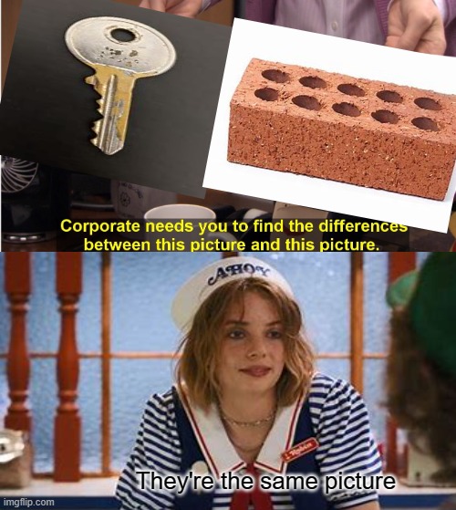 Can You Spot The Difference? |  They're the same picture | image tagged in robin stranger things meme | made w/ Imgflip meme maker