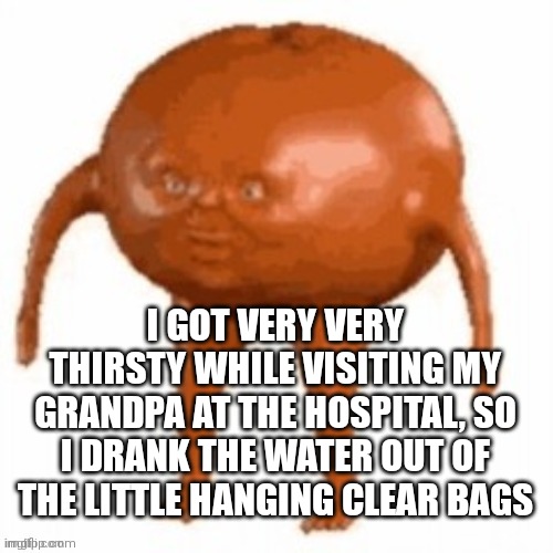 Quandale dingle | I GOT VERY VERY THIRSTY WHILE VISITING MY GRANDPA AT THE HOSPITAL, SO I DRANK THE WATER OUT OF THE LITTLE HANGING CLEAR BAGS | image tagged in fun,funny memes,funny,cursed,quandale dingle,tomato | made w/ Imgflip meme maker