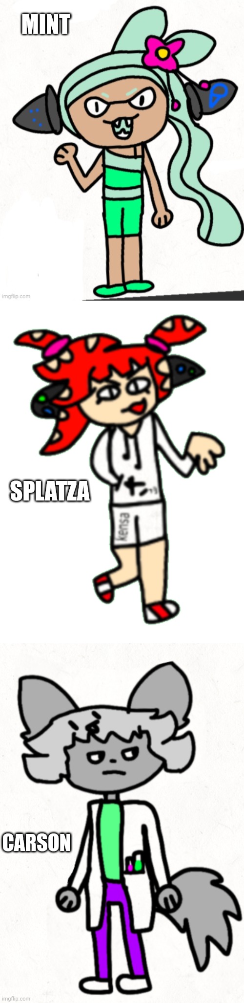 MINT SPLATZA CARSON | image tagged in splatza,carson | made w/ Imgflip meme maker