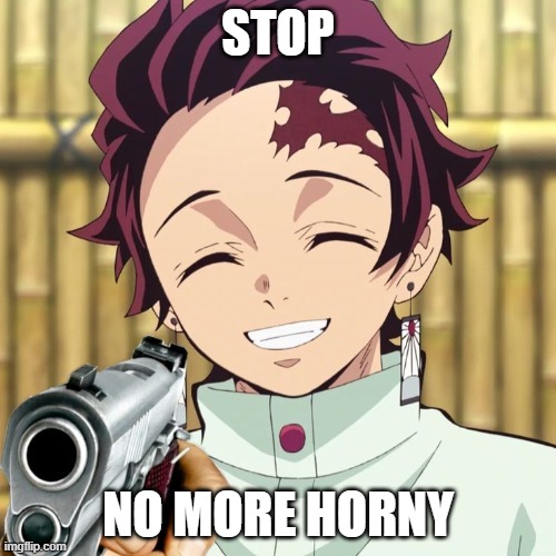 stop, no more | STOP; NO MORE HORNY | image tagged in tanjiro with a gun | made w/ Imgflip meme maker
