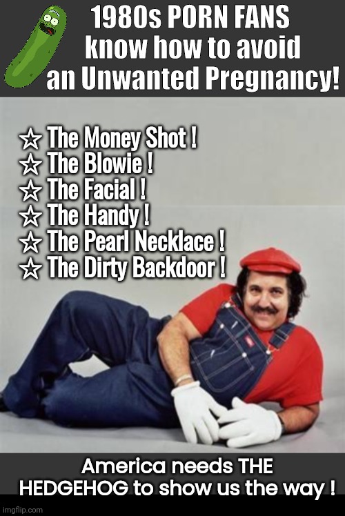 How to Avoid Unwanted Pregnancy with the Hedgehog | 1980s PORN FANS 
know how to avoid an Unwanted Pregnancy! ☆ The Money Shot !
☆ The Blowie !
☆ The Facial !
☆ The Handy !
☆ The Pearl Necklace !
☆ The Dirty Backdoor ! America needs THE HEDGEHOG to show us the way ! | image tagged in grey blank temp,mario ron jeremy,black box | made w/ Imgflip meme maker