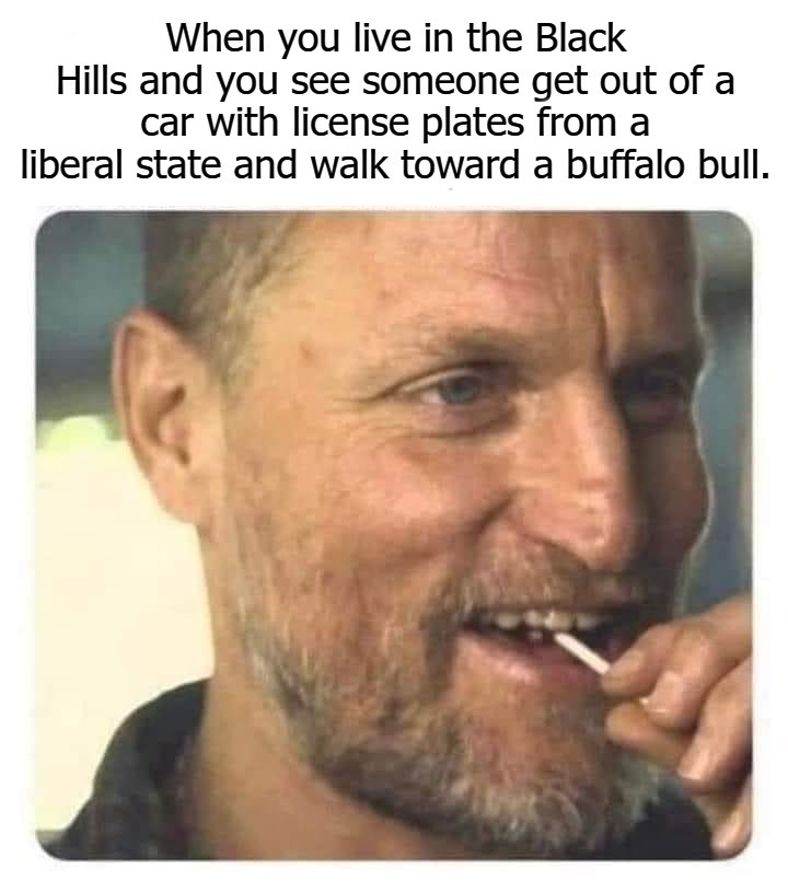 When you live in the Black Hills and you see someone get out of a car with license plates from a liberal state... | image tagged in evil grin,pass the popcorn,buffalo bull,fluffy cows,black hills,go ahead pet the fluffy cow | made w/ Imgflip meme maker