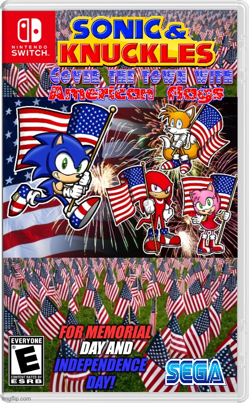 SONIC 4TH OF JULY! | FOR MEMORIAL; DAY AND; INDEPENDENCE DAY! | image tagged in nintendo switch,american flag,sonic the hedgehog,4th of july,independence day,fake switch games | made w/ Imgflip meme maker