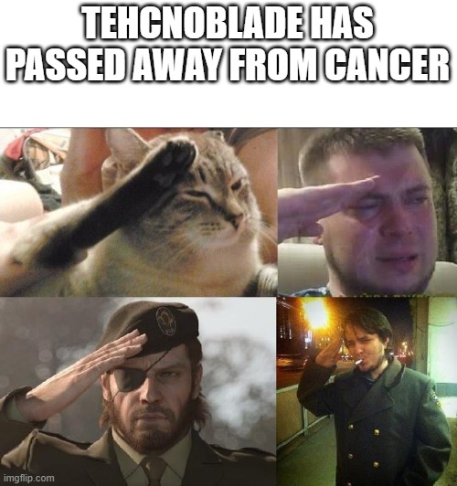 Goodbye Technoblade.. You will be missed | TEHCNOBLADE HAS PASSED AWAY FROM CANCER | image tagged in ozon's salute | made w/ Imgflip meme maker