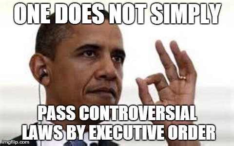 You daily dose of fun fun fun | ONE DOES NOT SIMPLY PASS CONTROVERSIAL LAWS BY EXECUTIVE ORDER | image tagged in one does not simply obama,politics,fails,barack obama | made w/ Imgflip meme maker
