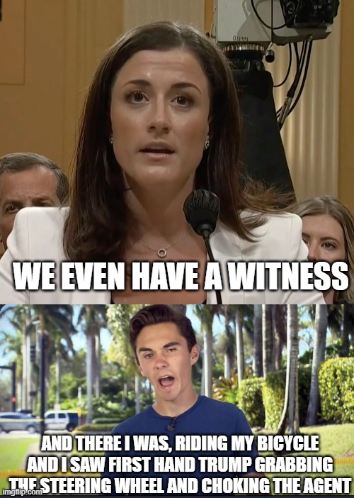 WE EVEN HAVE A WITNESS AND THERE I WAS, RIDING MY BICYCLE AND I SAW FIRST HAND TRUMP GRABBING THE STEERING WHEEL AND CHOKING THE AGENT | image tagged in cassidy hutchinson,david hogg | made w/ Imgflip meme maker