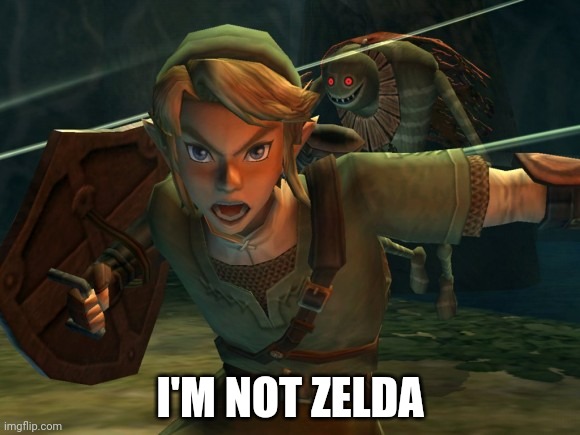 Link Legend of Zelda Yelling | I'M NOT ZELDA | image tagged in link legend of zelda yelling | made w/ Imgflip meme maker