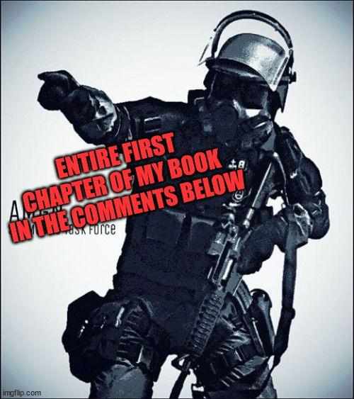 Enjoy! | ENTIRE FIRST CHAPTER OF MY BOOK IN THE COMMENTS BELOW | image tagged in mtf-scp | made w/ Imgflip meme maker