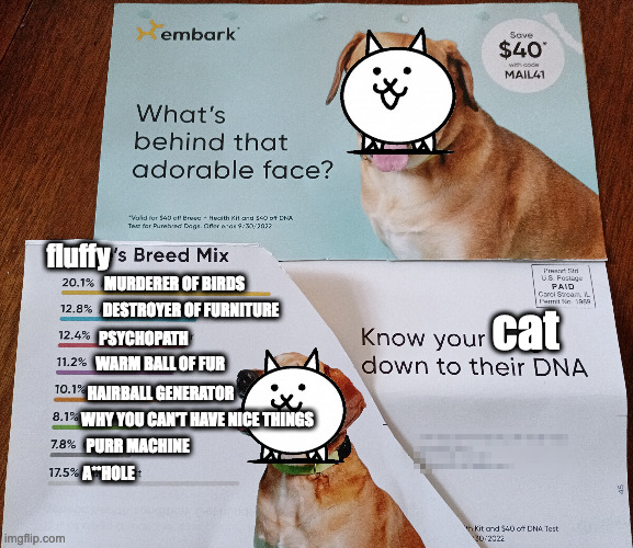 If this ad for dog DNA test was for cats | fluffy; MURDERER OF BIRDS; DESTROYER OF FURNITURE; cat; PSYCHOPATH; WARM BALL OF FUR; HAIRBALL GENERATOR; WHY YOU CAN'T HAVE NICE THINGS; PURR MACHINE; A**HOLE | image tagged in cat,cats,murderer,psychopath,asshole,furniture | made w/ Imgflip meme maker