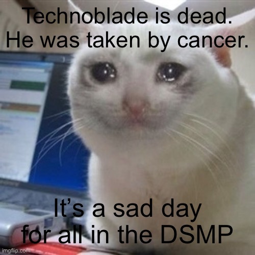 Wherever you are Techno, I hope you are in a better place | Technoblade is dead. He was taken by cancer. It’s a sad day for all in the DSMP | image tagged in crying cat,technoblade,dsmp,rip | made w/ Imgflip meme maker