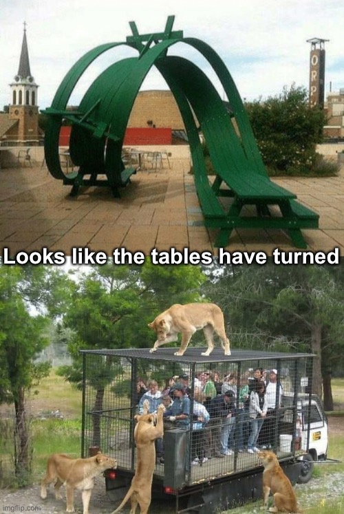 Oh my! | Looks like the tables have turned | image tagged in funny memes,tables have turned | made w/ Imgflip meme maker