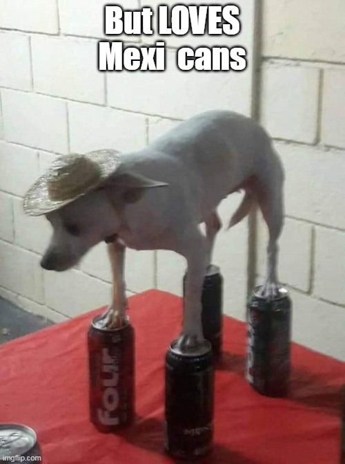 But LOVES Mexi  cans | made w/ Imgflip meme maker