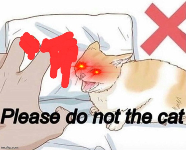 Do not the cat. | image tagged in do not the cat | made w/ Imgflip meme maker