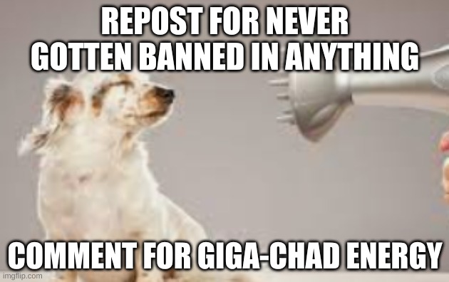 grooming | REPOST FOR NEVER GOTTEN BANNED IN ANYTHING; COMMENT FOR GIGA-CHAD ENERGY | image tagged in grooming | made w/ Imgflip meme maker